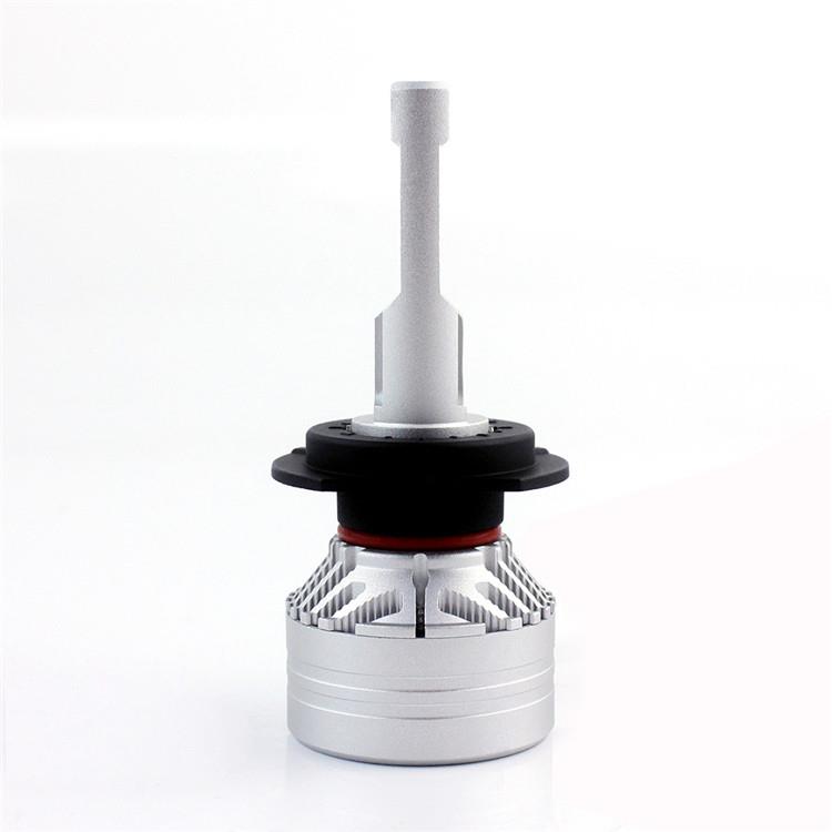 IMG_7354